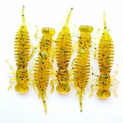 Larva